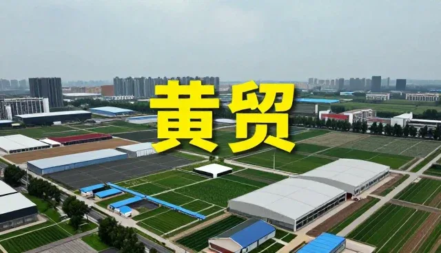 企业信息查询中如何高效利用区域筛选功能